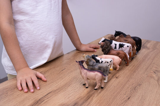 World autism awareness day. Autistic child carefully organizing toy animals in straight line. Concept of neurodiversity, spectrum disorder and obsessive play.