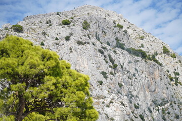 Solo travel, dubrovnik, gardens, flowers, croatia, vienna, montenegro, vienna, lake bled, omis, brac island, cavtat, photography