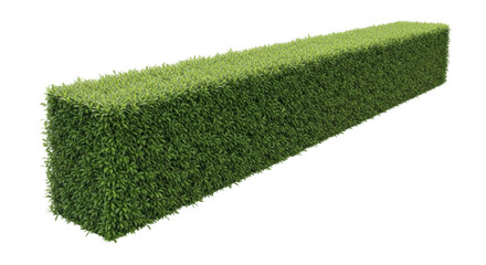 A single, long, perfectly trimmed green hedge with vibrant foliage and new sprouts, centrally positioned on a transparent studio background with copy space, concept of sophisticated landscaping