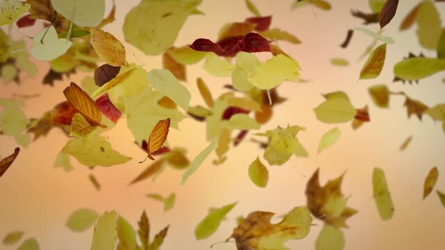 Falling Autumn Leaves Background Seamless Loop