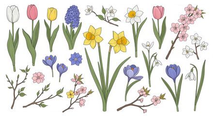A diverse botanical collection of spring flowers and budding twigs, featuring tulips, daffodils, and crocuses, arranged decoratively on a bright white background.