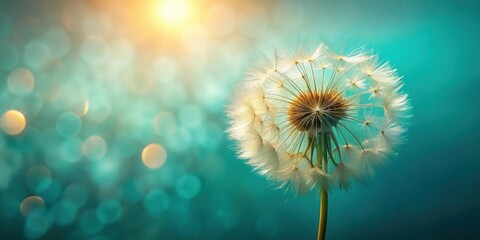 A delicate dandelion seed head, backlit by a soft, warm sun, against a dreamy teal bokeh background.