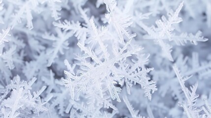  Intricate Snowflake Texture Images，highlight detailed snowflake texture, ideal for Christmas cards, winter marketing, craft templates, or festive digital assets.