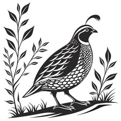 Fototapeta premium Stylized black and white illustration of a quail bird among plants