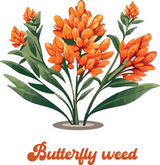 Butterfly weed logo vector white background . © Mohammedmesbaul