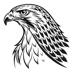 Fototapeta premium Stylized black and white eagle head with detailed feathers
