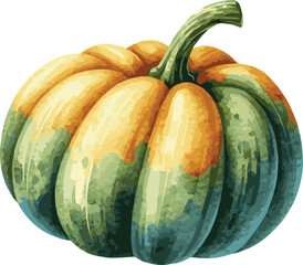 Vector watercolor painted illustration of an acorn squash © Mantella