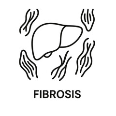 Line icon of human liver with fibrotic tissue representing fibrosis disease