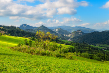 mountain landscape in the summer