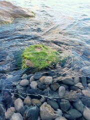 Sea waves wash a beautiful stone covered with moss
