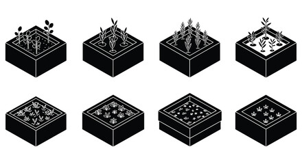 plant growth stages shown in various container boxes