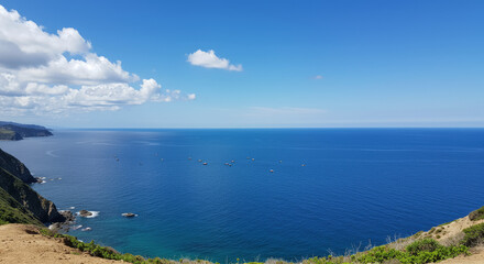 Fototapeta premium Ocean coastline with distant ships blue sky