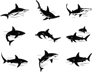 Fototapeta premium Vector illustration of shark silhouettes in different swimming poses, ocean predator design, hammerhead and great white shark collection, underwater wildlife marine concept art