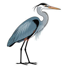 great blue heron