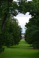 A perfect natural arch formed by massive, mature trees frames a distant, elegant chateau at the end of a long green lawn