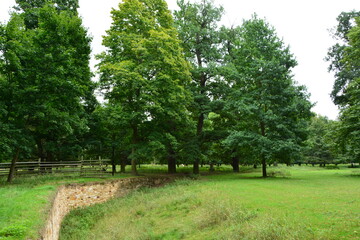 A beautiful park landscape featuring a curved stone retaining wall, a grassy meadow, and a grove of tall, mature green trees