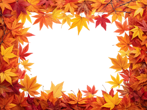 Vibrant Autumn Maple Leaves Frame on Black Background Orange Red Yellow Fall Foliage Border Rectangular Shape Seasonal Design Element