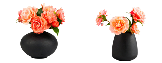  Bouquet of Peach Camellia Flowers in Black Matte Vase, Minimalist Still Life, Isolated on Transparent Background