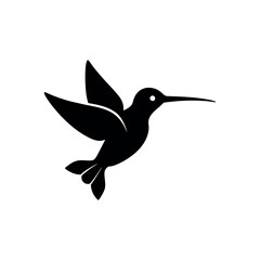 Elegant hummingbird logo with decorative flower elements Vector illustration