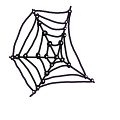 Hand drawn spider web. Halloween. Spider web. Illustration for postcard, invitation, design