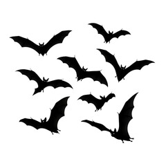 Illustration of a flock of black bats in silhouette flying against a transparent background