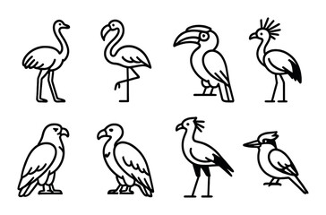 Silhouette collection of exotic bird outlines on black background