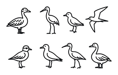 Obraz premium Silhouette collection of various bird species on dark background