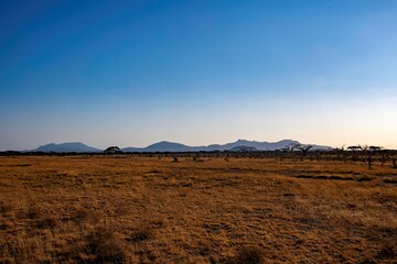 Savannah landscape with cloud sky at the Samburu National park in Kenya