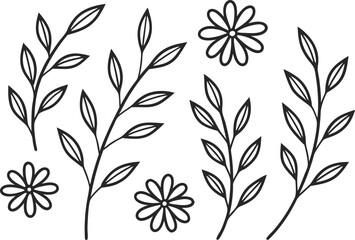 Fototapeta premium Delicate botanical line art set featuring flowers and twigs for creative projects