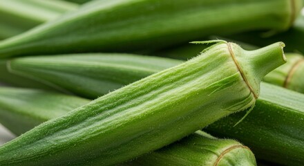 Fototapeta premium Close up studio shot of fresh green okra pods, featuring vibrant color and textured surface