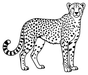 Fototapeta premium Black and White Cheetah Outline Illustration