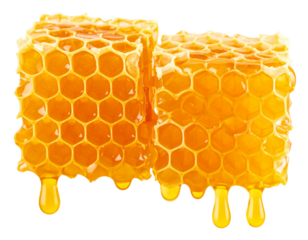 Golden Honeycomb Hexagons with Viscous Honey Drips in Warm Natural Light, Front Closeup, Transparent Background