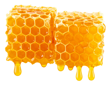 Golden Honeycomb Hexagons with Viscous Honey Drips in Warm Natural Light, Front Closeup, Transparent Background