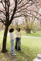 Fototapeta premium Two female students standing near a tree and talking