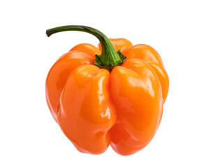 Whole Red Habanero Chili with Stem, Front View Isolated on Transparent Background