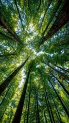 Obraz premium Looking Up Through a Lush Green Forest Canopy