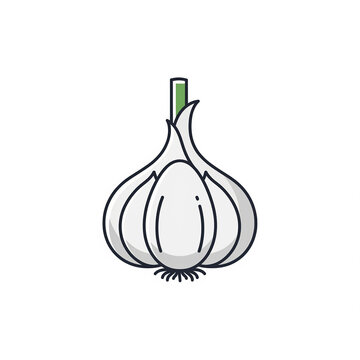 garlic isolated on white background