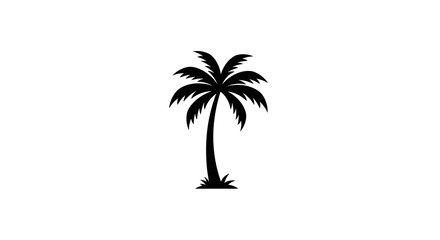 Black Silhouette of a Palm Tree on White Background