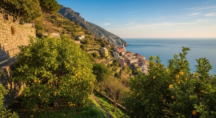 Scenic Coastal Village with Hillside Citrus Groves and Ocean View in Bright Sunlight