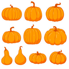 Set of vector autumn pumpkins. Hand drawn pumpkin squash in different colors and shapes