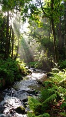 Fototapeta premium Sunlight streams through lush forest canopy onto a babbling brook