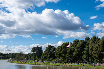 Crowds gather at a park on a sunny day by the water, enjoying kite flying and outdoor activities under a vibrant blue sky filled with clouds.