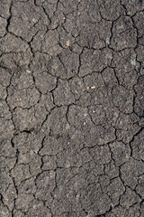Global warming, Drought in the summer. Dark soil texture closeup