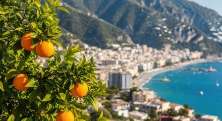 Orange Tree with Ripe Fruit Overlooking Coastal City and Mountain Landscape