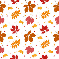 Seamless  pattern with different colorful autumn leaves: ash, chestnut, birch, grape. Perfect for textile, wrapping paper, wallpapers, seasonal backgrounds. Vector illustration on white background.