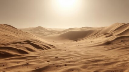 Vast desert landscape under bright sun