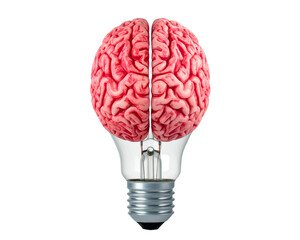 Isolated Light Bulb with Brain Halves