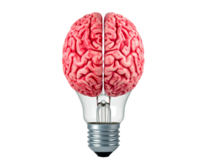 Isolated Light Bulb with Brain Halves