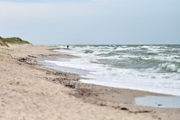 Sandy beach meets baltic sea under clouded sky. Waves gently crash onto shore, creating peaceful ambiance. Perspective reveals shorelines natural beauty and vastness
