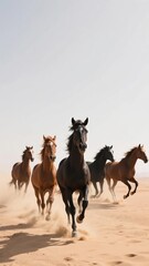 Fototapeta premium Horses running in desert